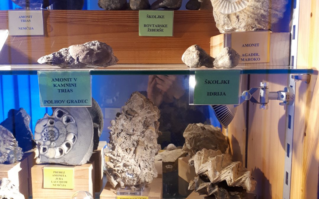 EKSKURZIJA – GEOLOŠKO PALEONTOLOŠKI MUZEJ PANGEA