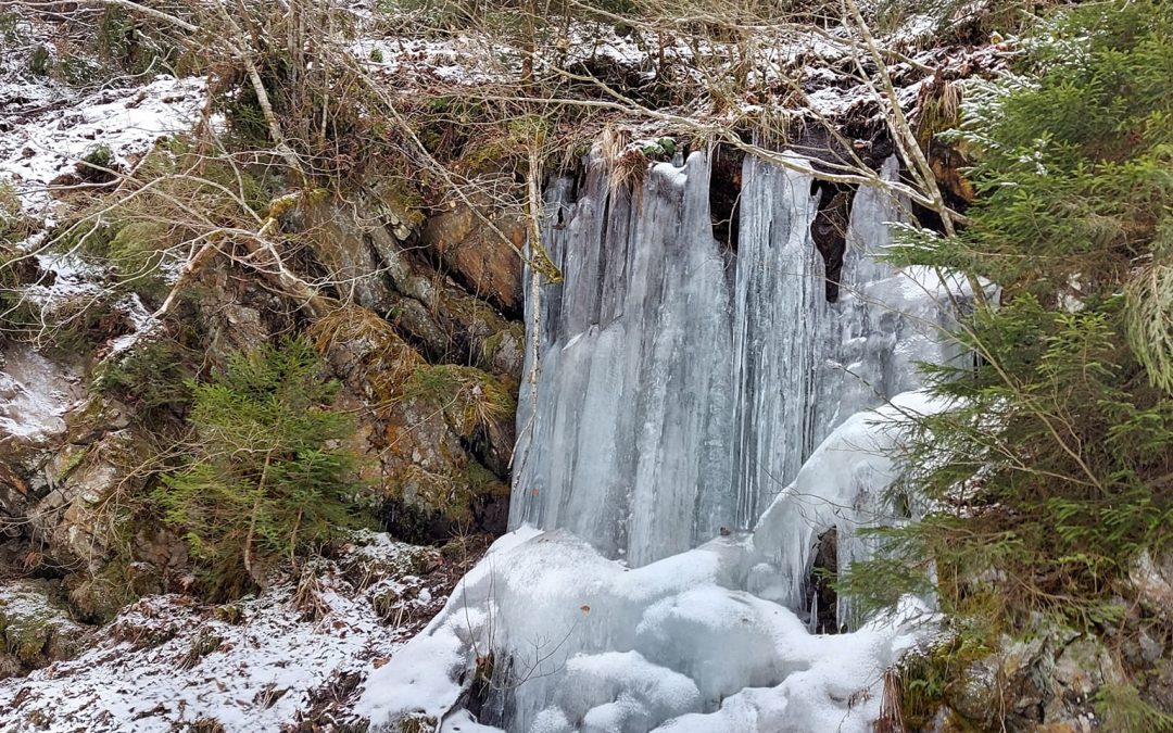 Pohod na Roglo (tretja ura športne vzgoje)